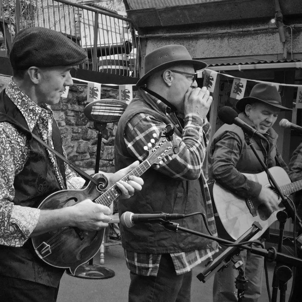 The Backroom Bluegrass Band