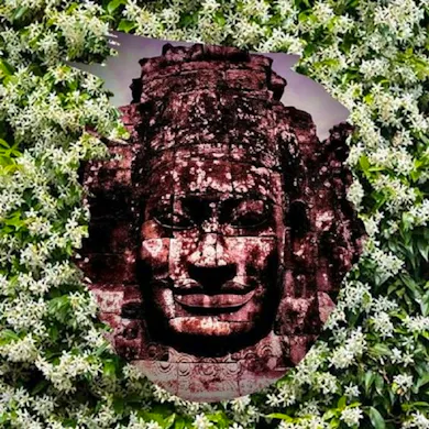 Artist Avatar