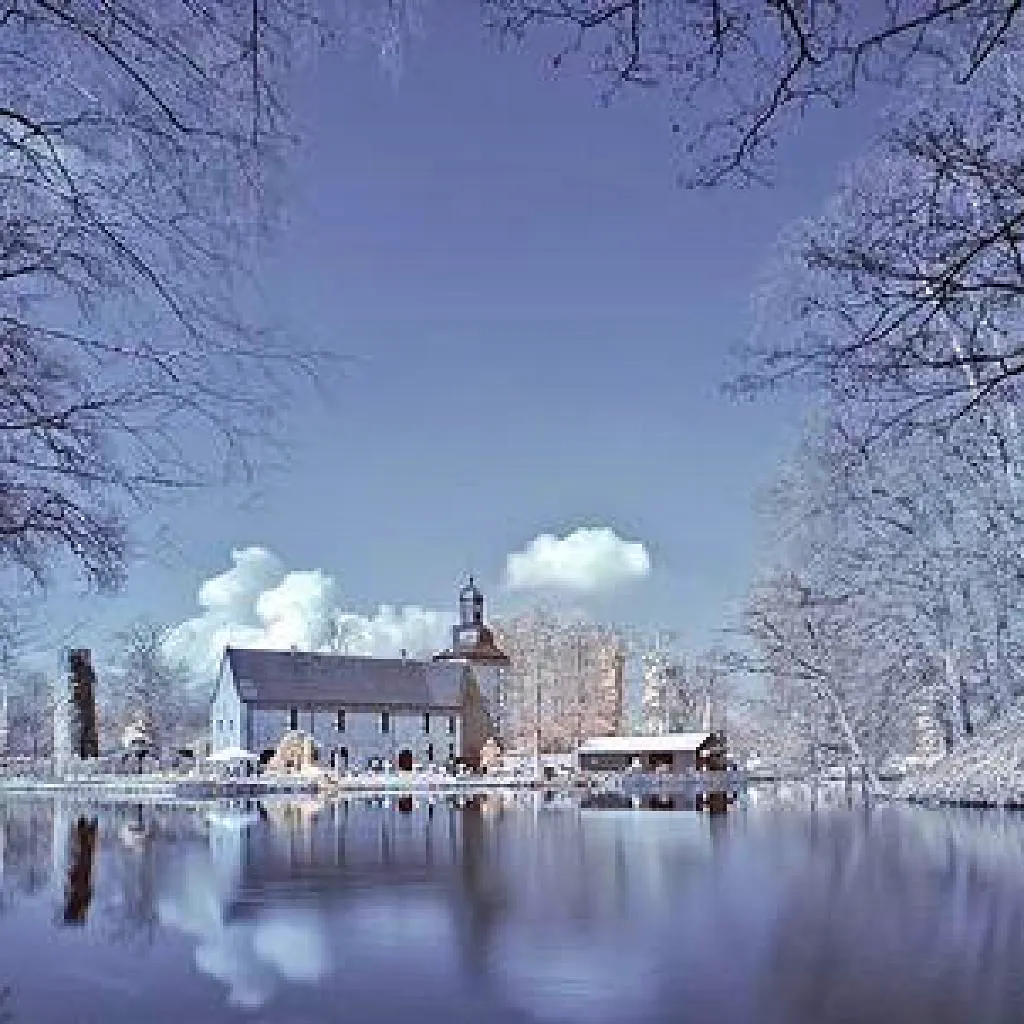 The Albion Christmas Band