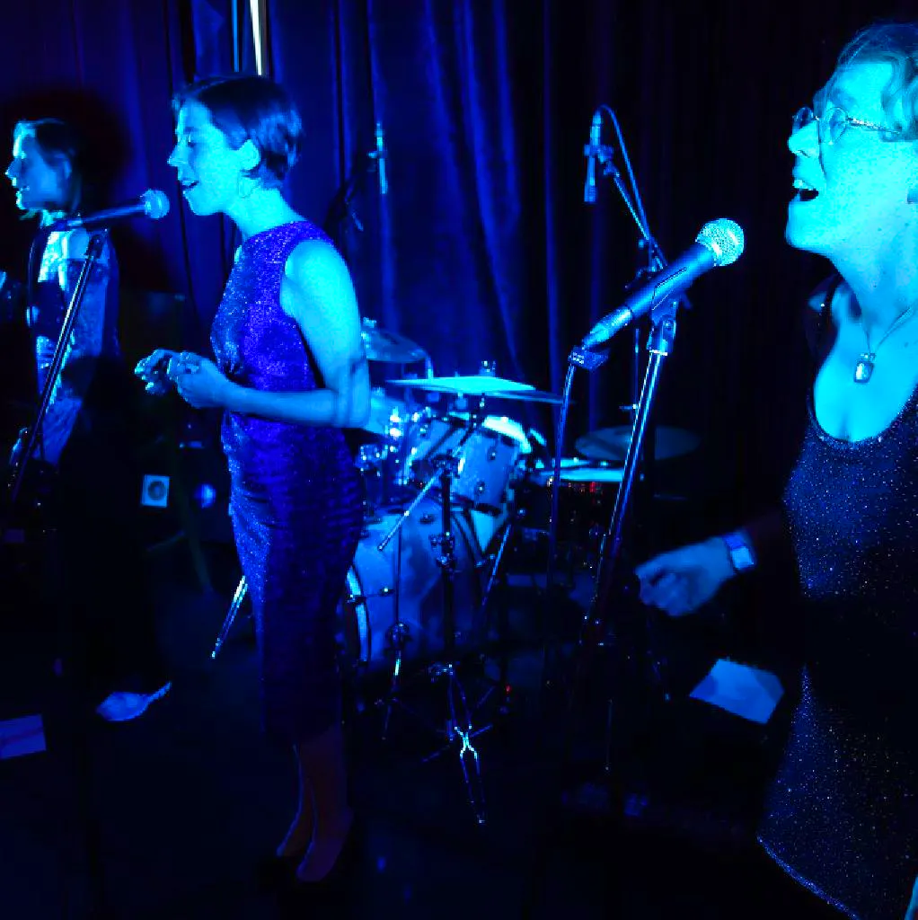 Hummingbirds Acappella Trio