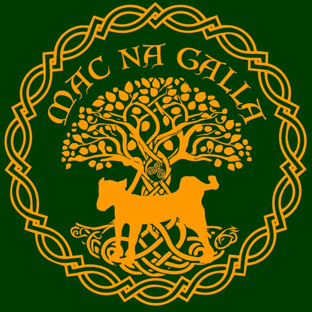 Mac Na Galla