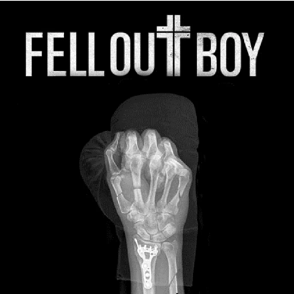 Fell Out Boy