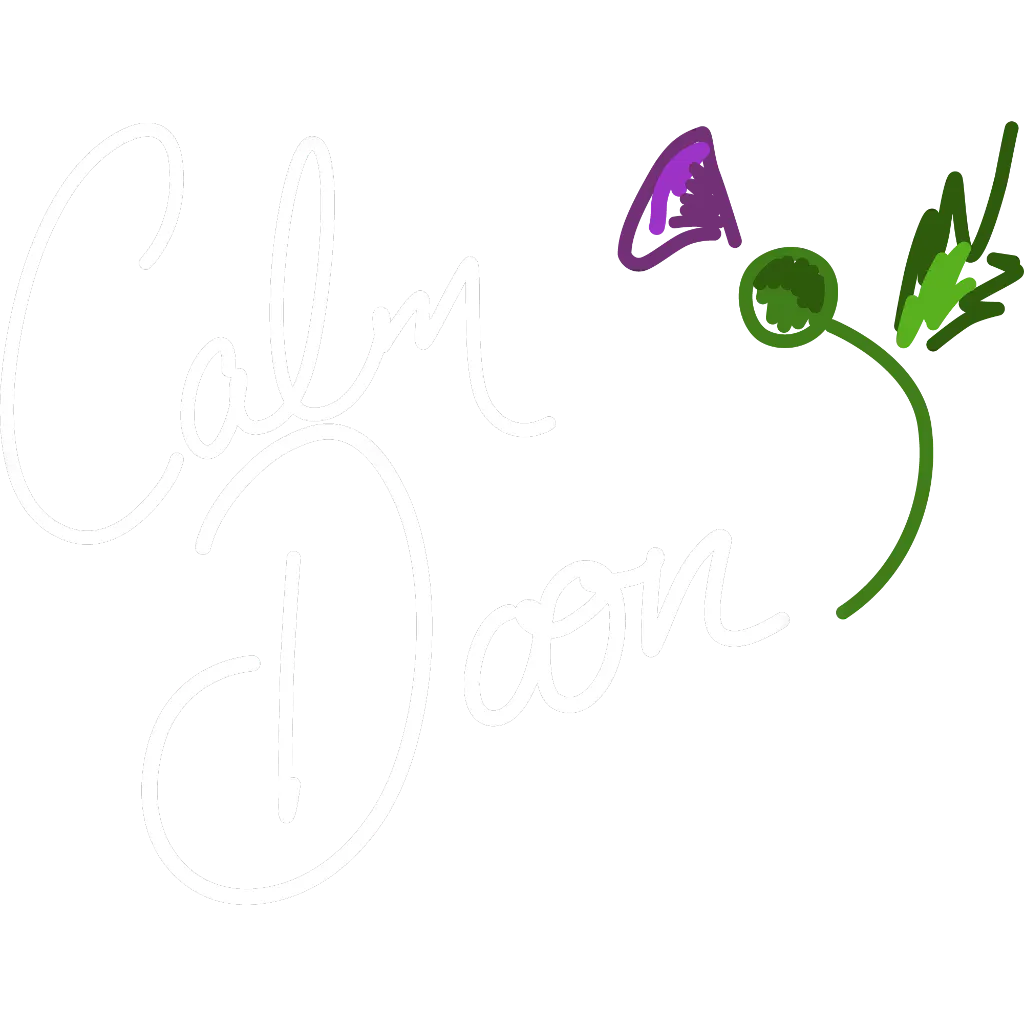 Calm Doon Ceilidh Band