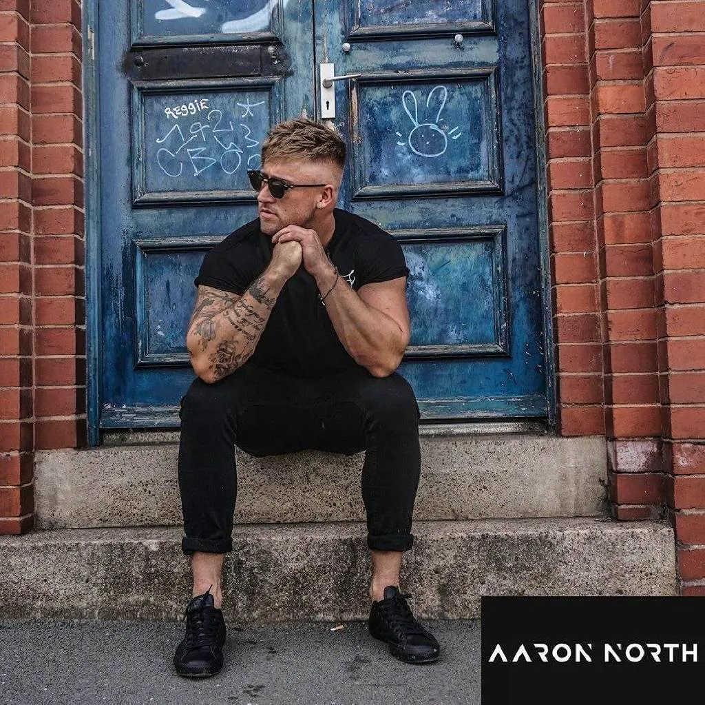 Aaron north