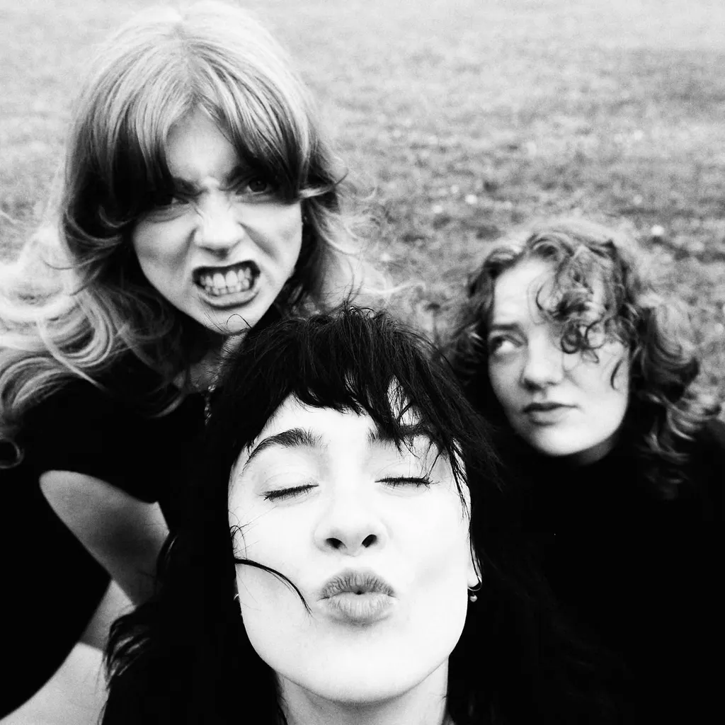 Folk Bitch Trio