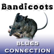 Bandicoots Blues Connection