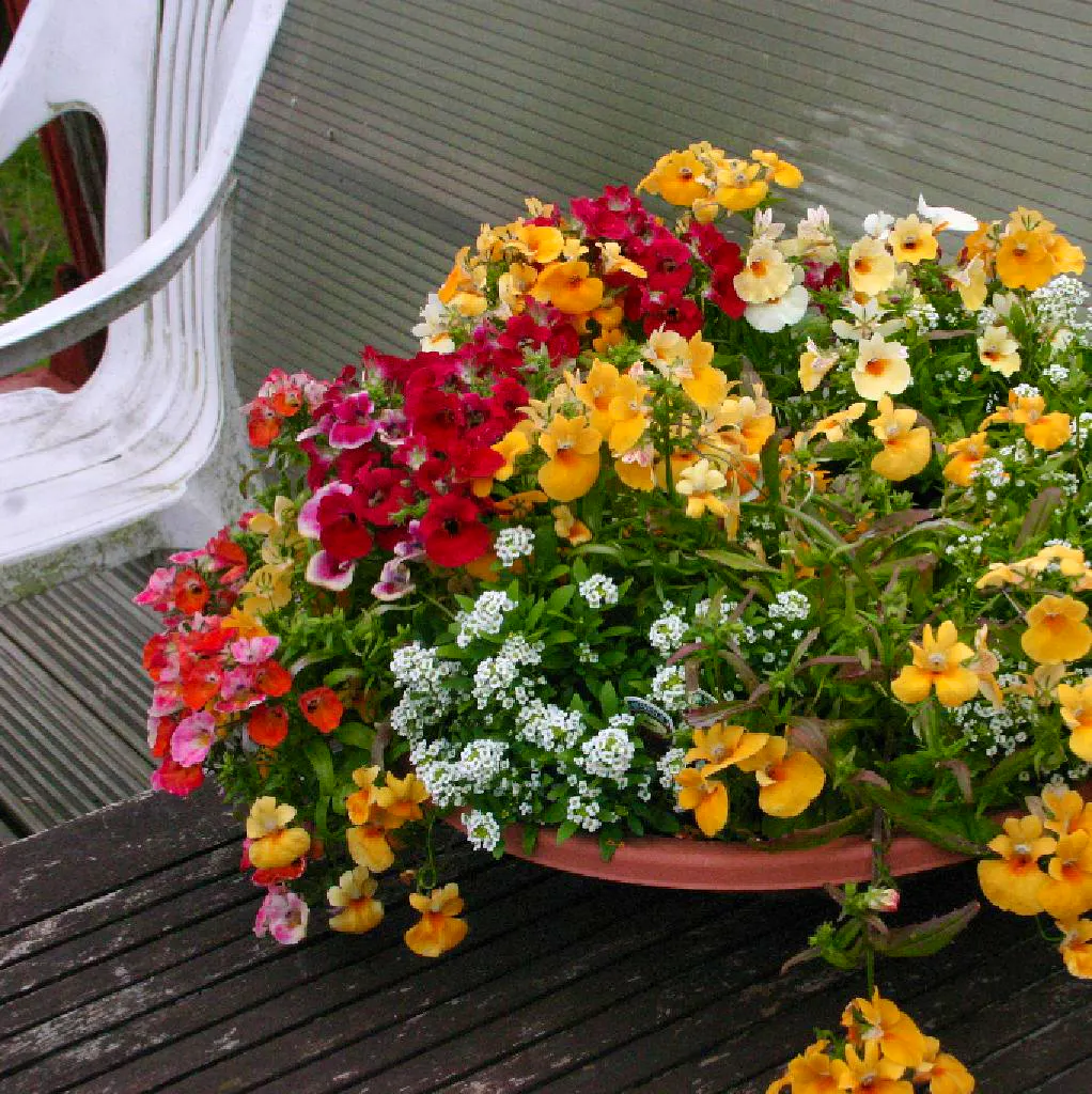 London Virtuoso Ensemble