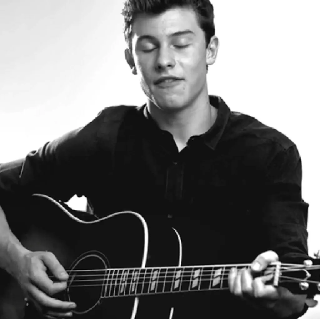 Shawn Mendes
