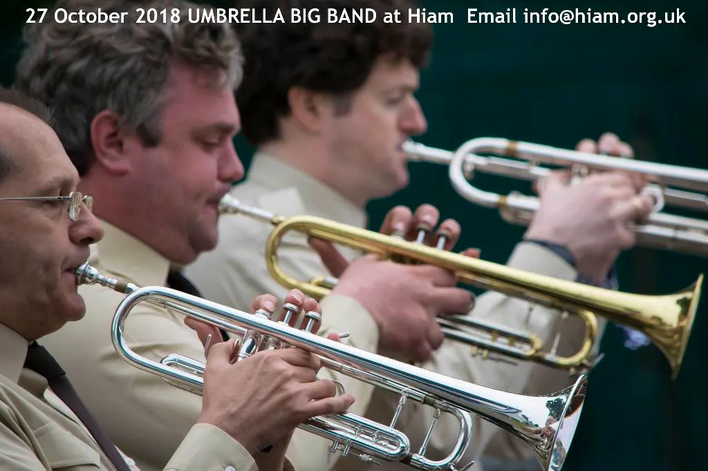 UMBRELLA BIG BAND