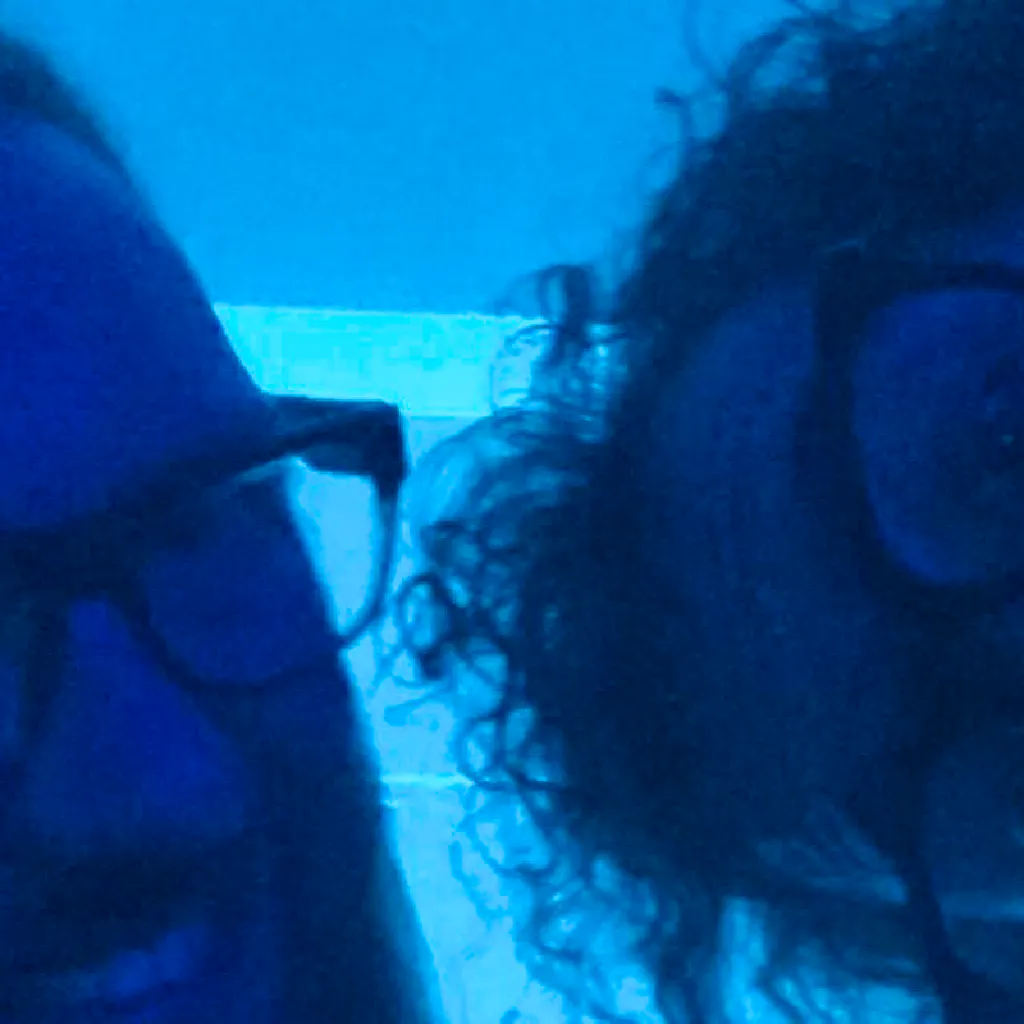 Chips With Everything