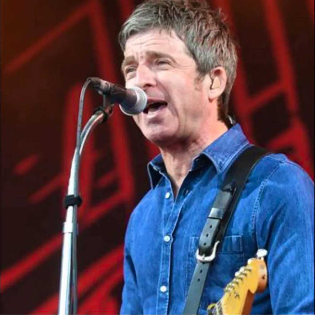 No Gallaghers High Flying Birds