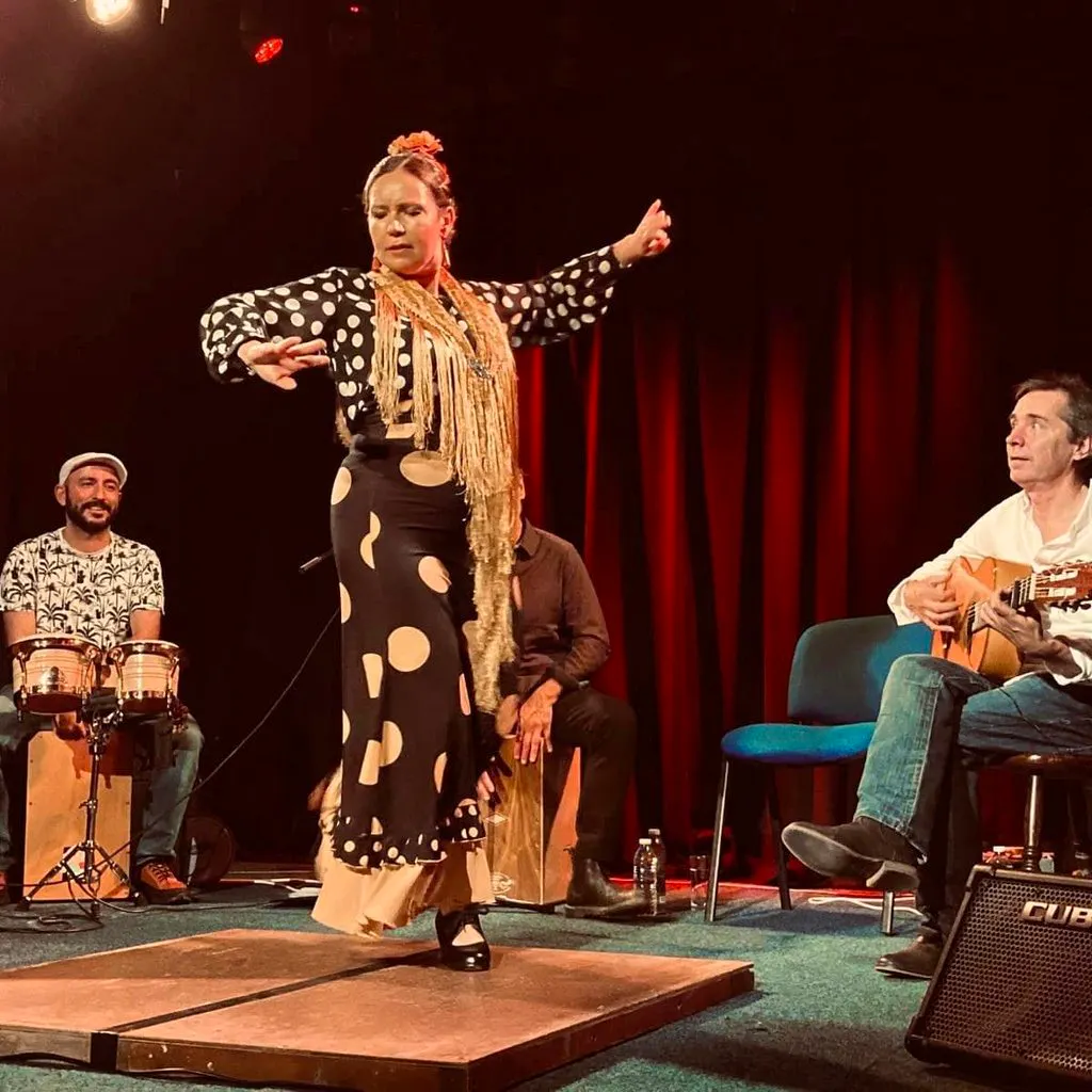 Flamenco Loco
