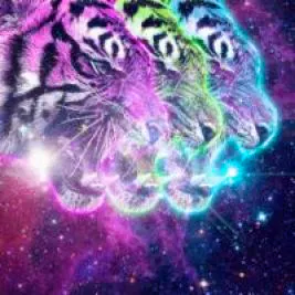 Fear of Tigers