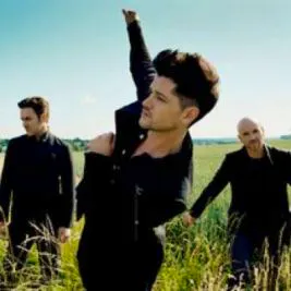 The Script