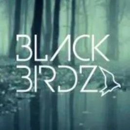 Black Birdz