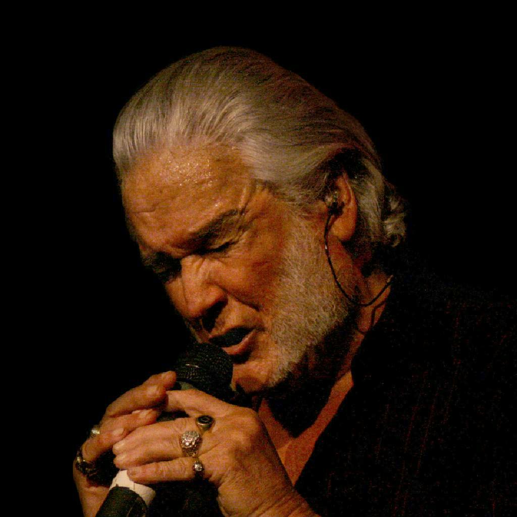 P&period;J&period; Proby