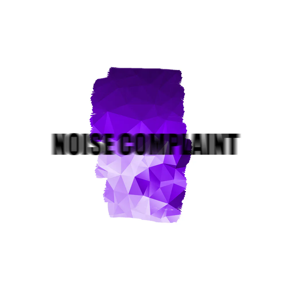 Noise Complaint DJ