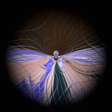 Artist Avatar
