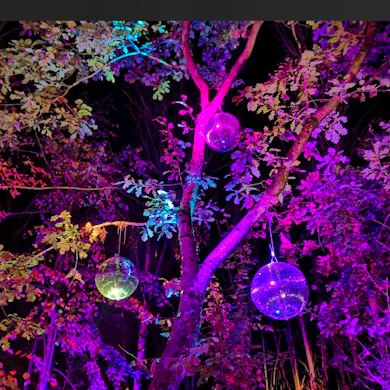 Artist Avatar