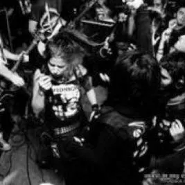 Agrimonia
