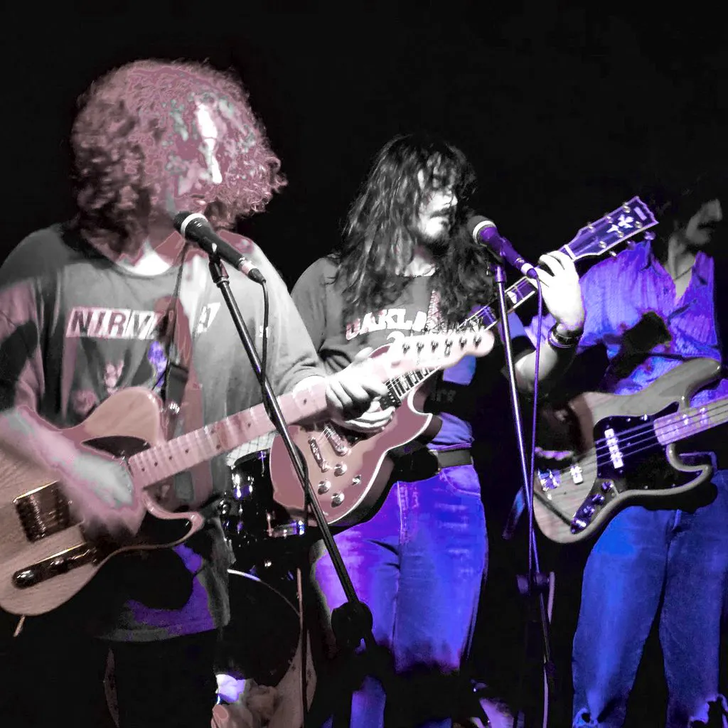 Ratatouille's Revenge