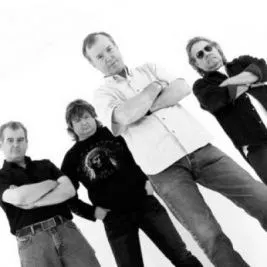 The Animals and Friends