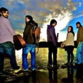 Under The Driftwood Tree