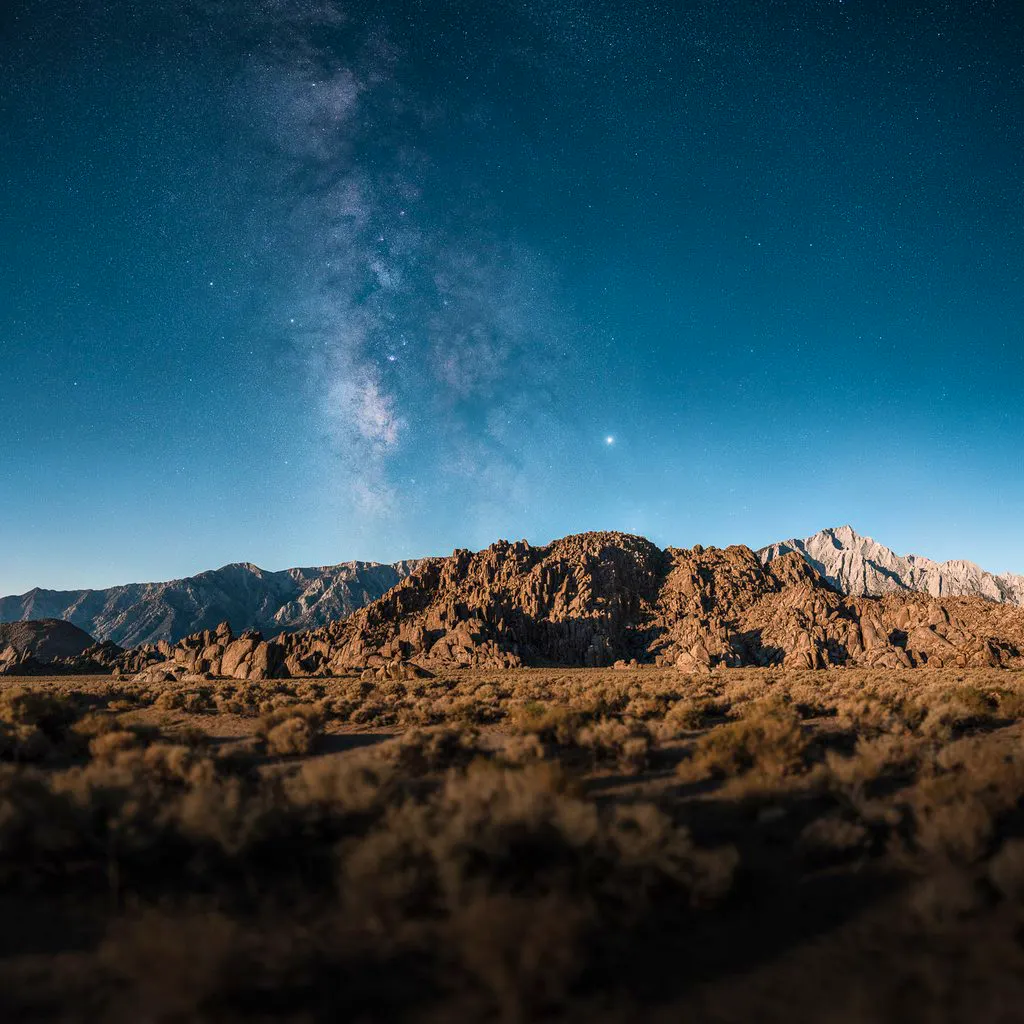 new artist 19&period;5