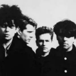 Echo and the Bunnymen