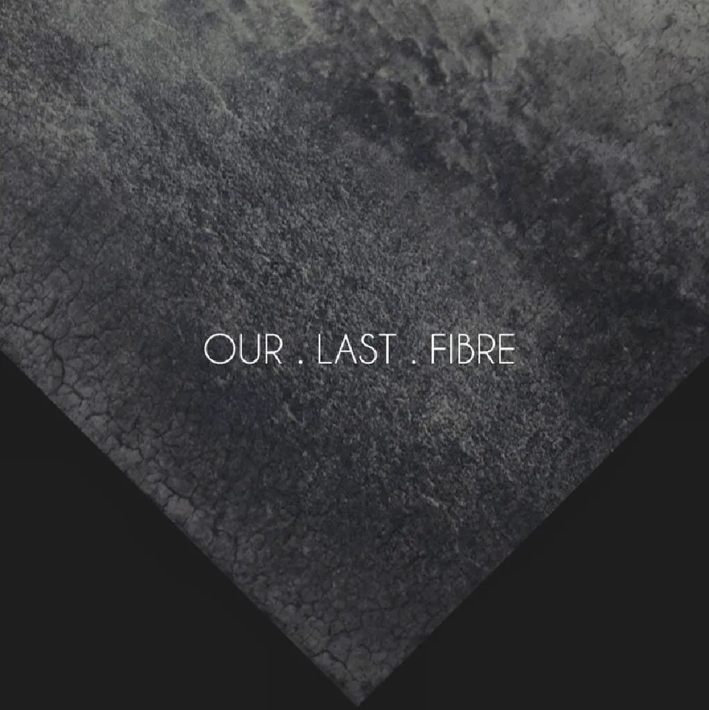 Our&period;Last&period;Fibre