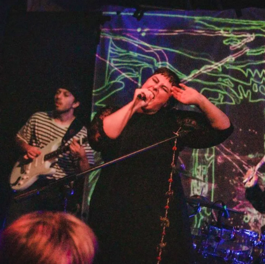 Japanese Raccoon Dog