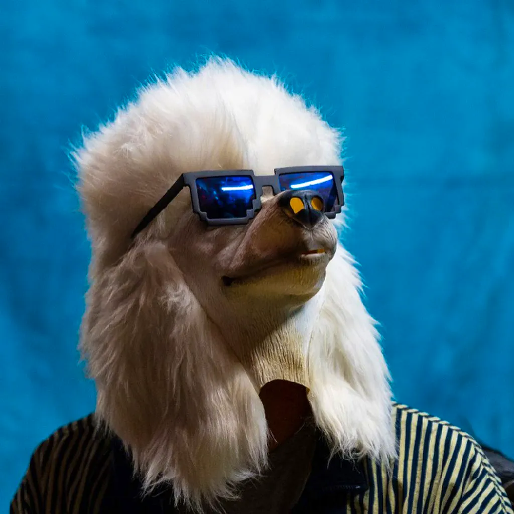 Dogshow
