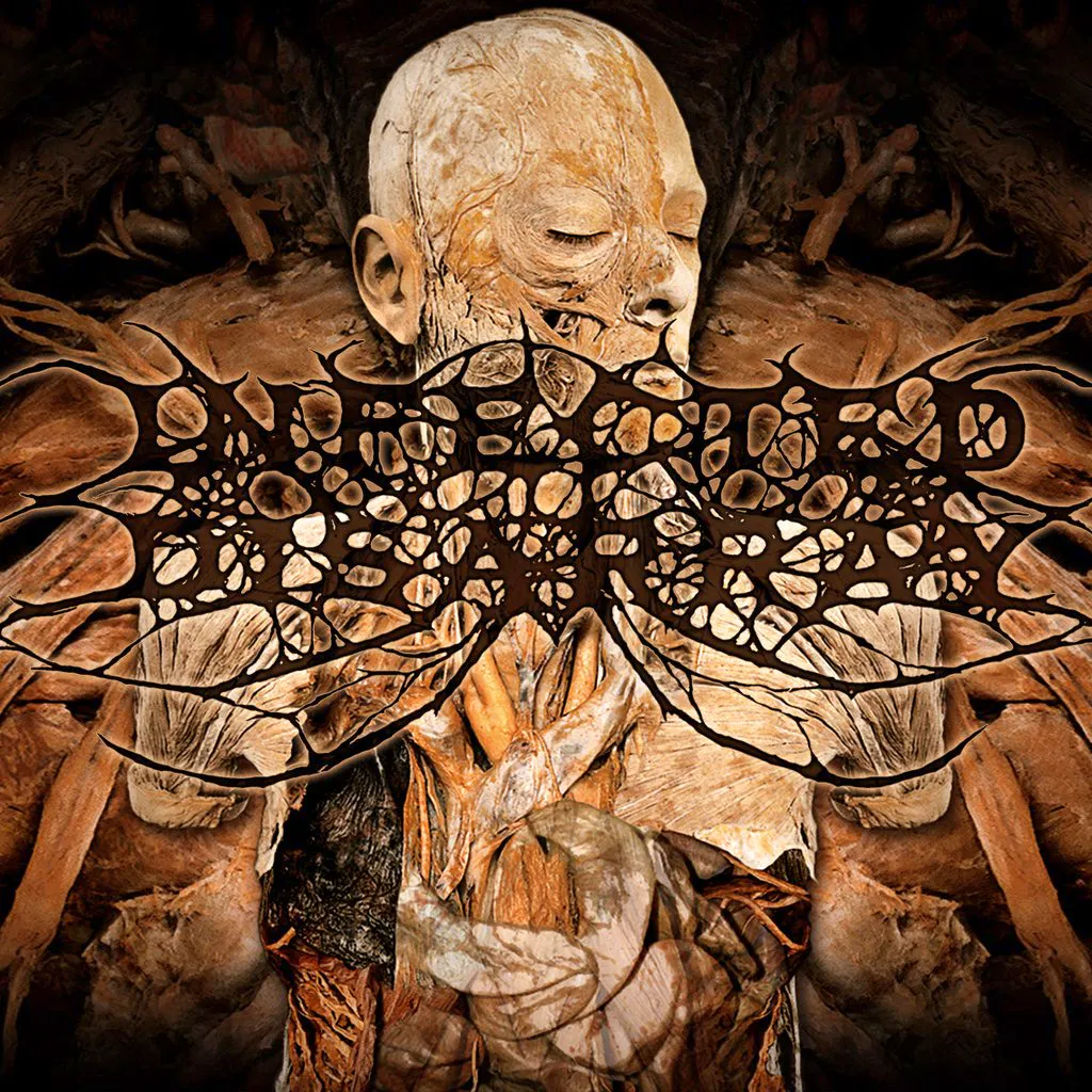 Infected Disarray