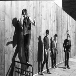 Tokyo Police Club