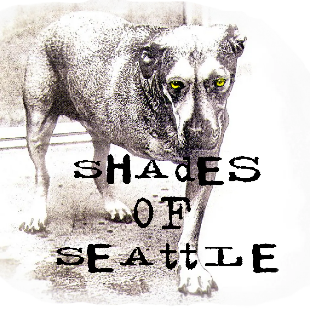 Shades of Seattle