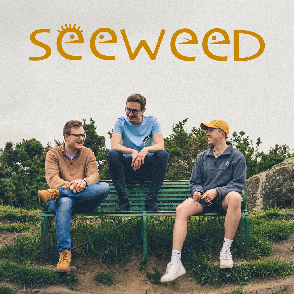 Seeweed