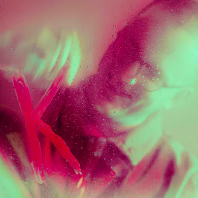 Artist Avatar