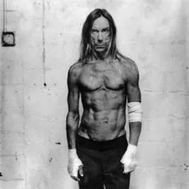 Iggy and the Stooges