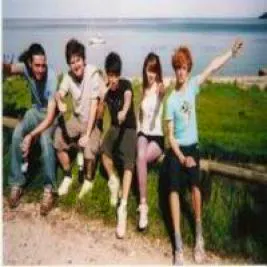 Cats and Cats and Cats