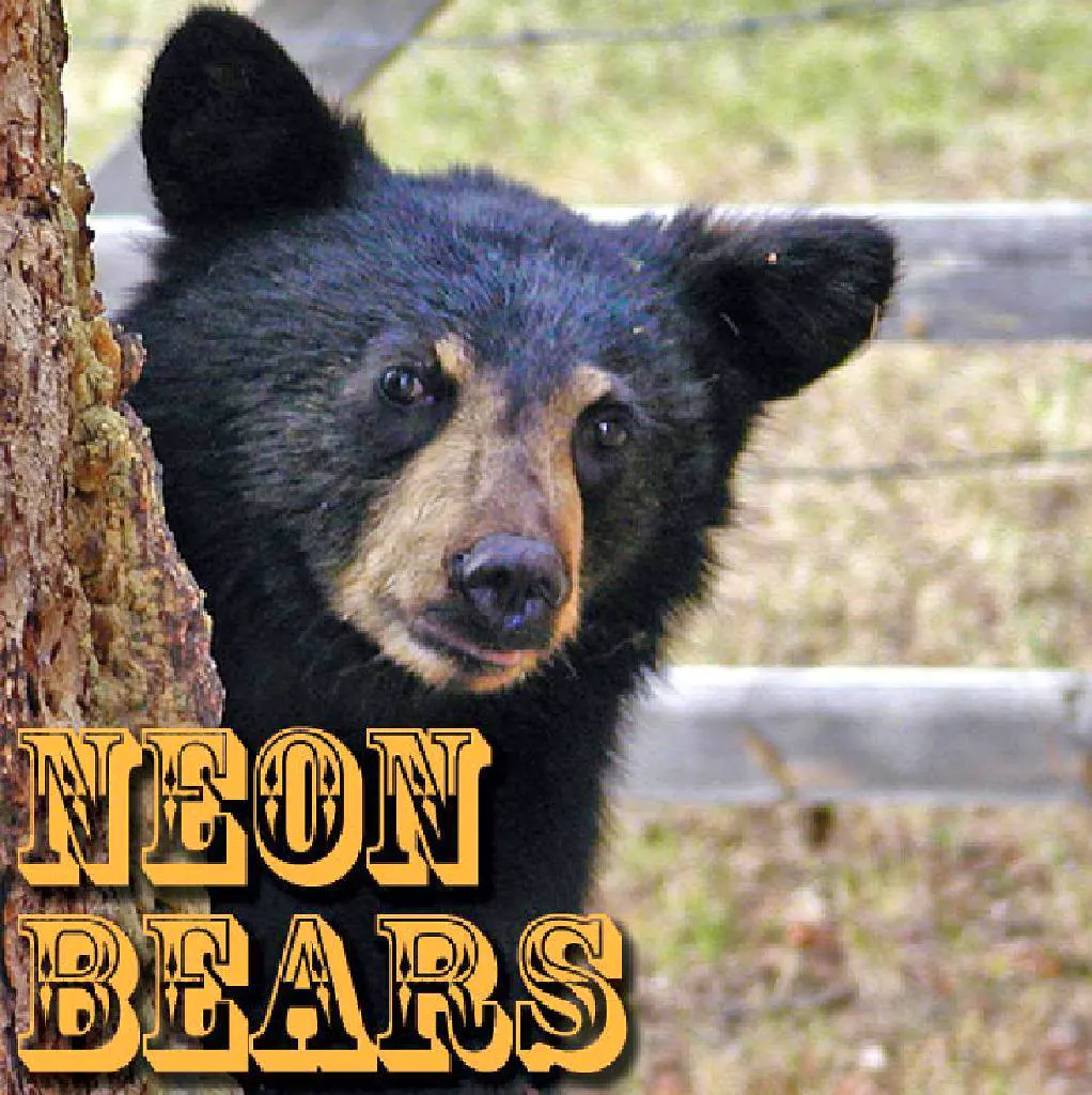 Neon Bears
