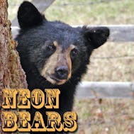 Neon Bears