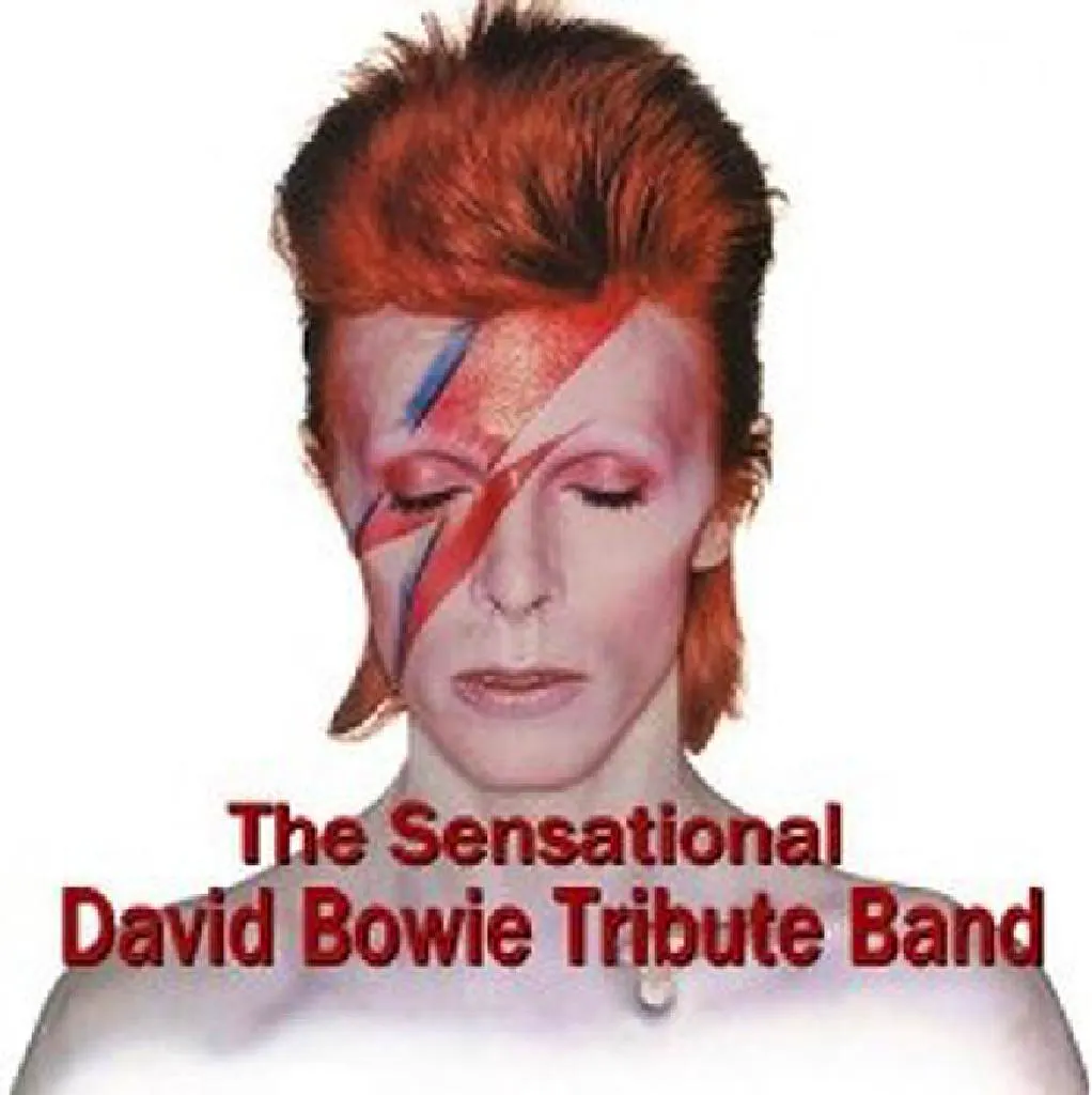 The Sensational David Bowie Tribute Band
