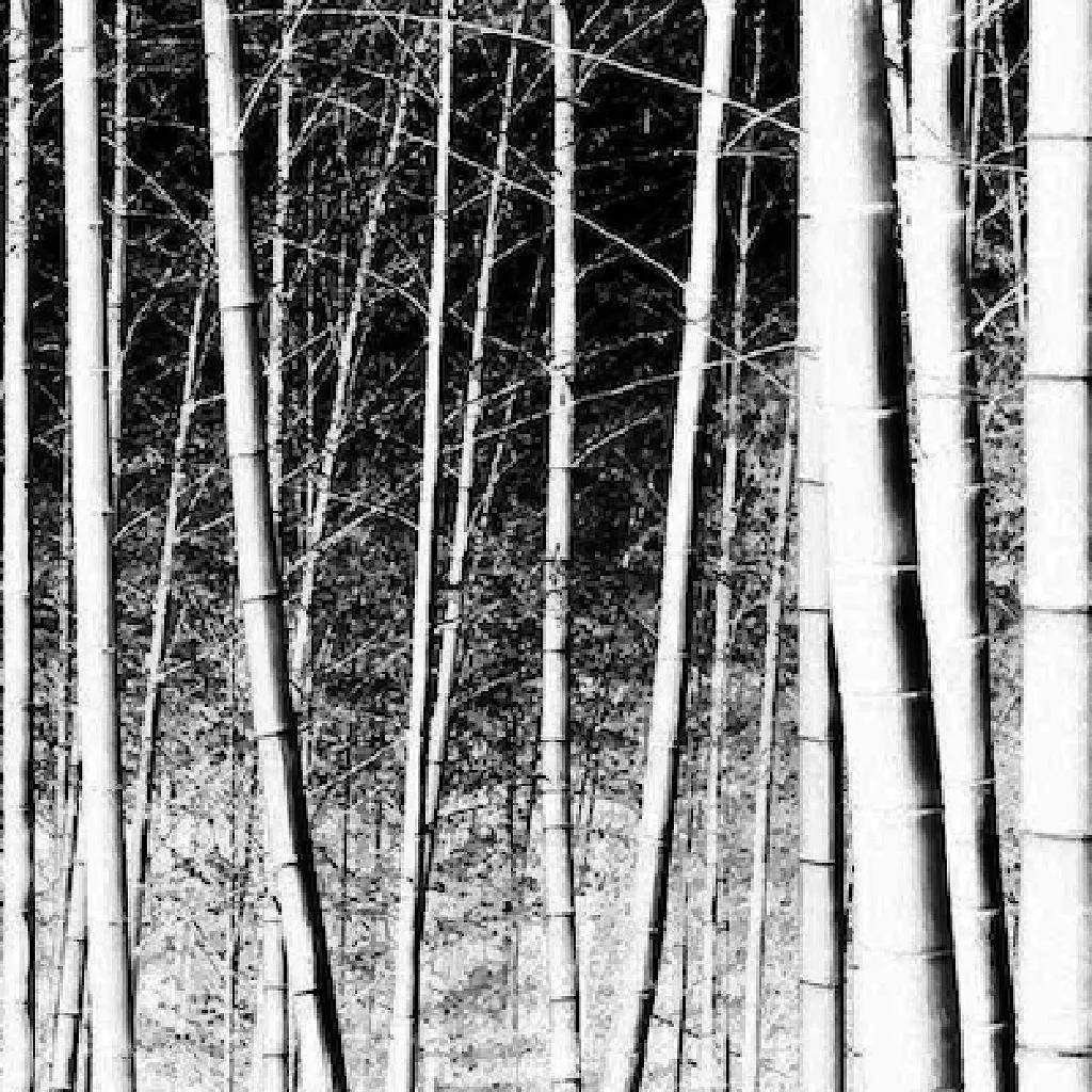 Laura Sampson and Sam Enthoven